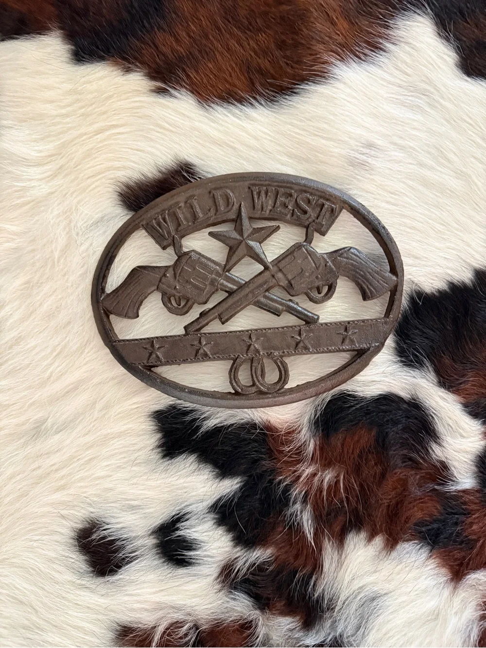 Cast Iron Wild West Metal Wall Plaque or Trivet
